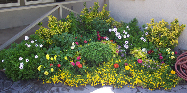 The garden triangle