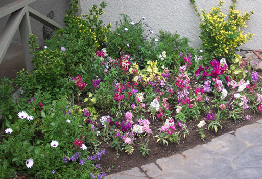 Garden revitalized